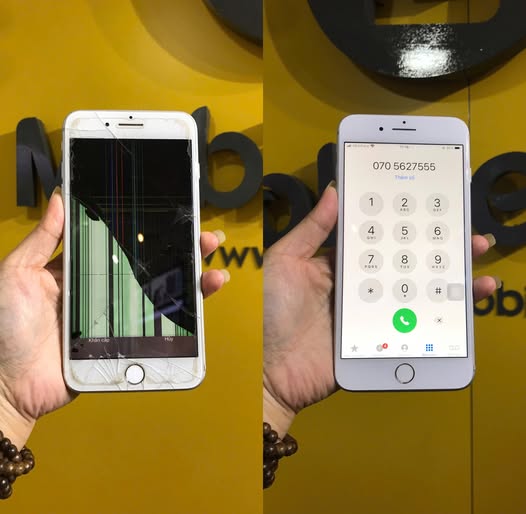 481792234 1343450310320737 8099106823273586558 n