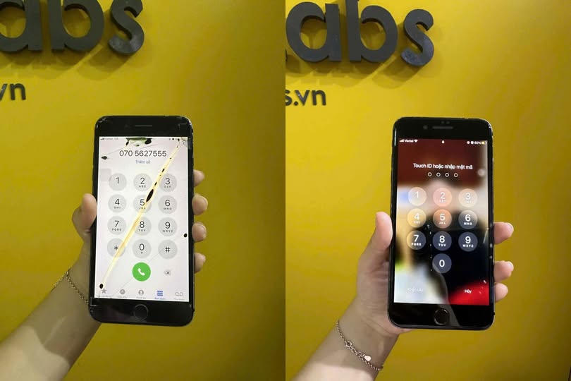 513258001 1427221071943660 8696720450071602776 n