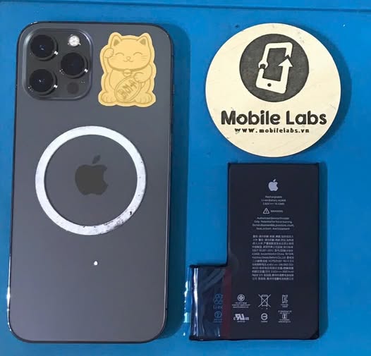 525522286 1452825456049888 1658499671761222368 n