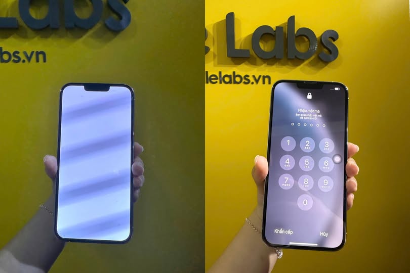 484826995 1353780222621079 8773694139747553099 n