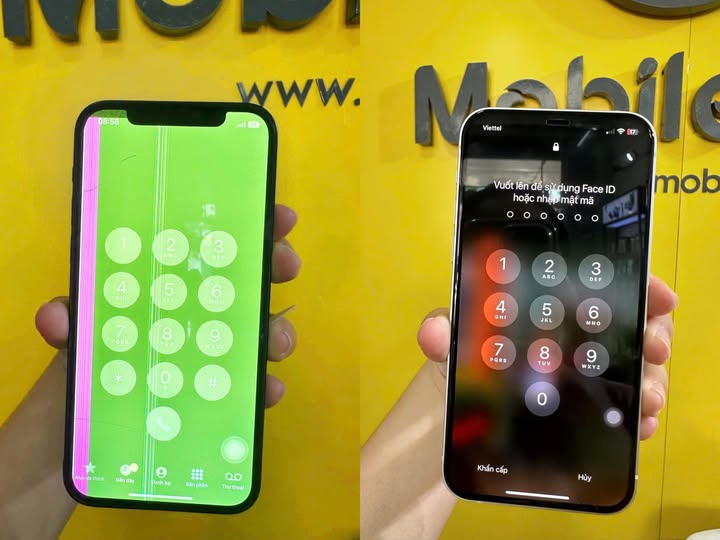 481169451 1338238367508598 7121421302976933239 n