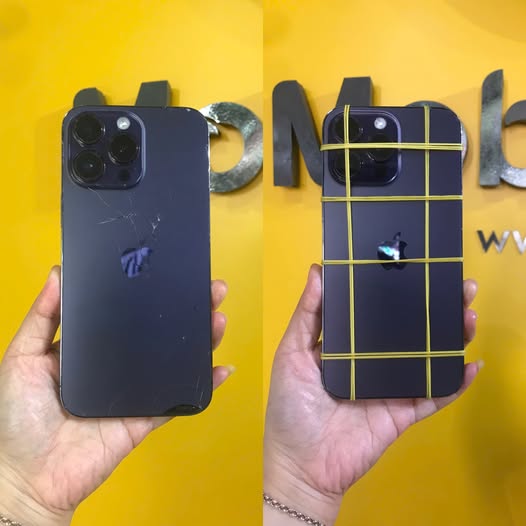 515004252 1430813851584382 9031325508087057530 n