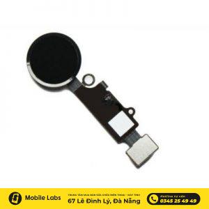 thay cáp nút home iphone 8 plus