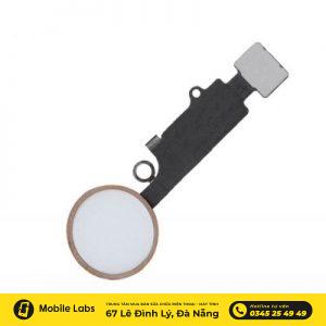thay cáp nút home iphone 8