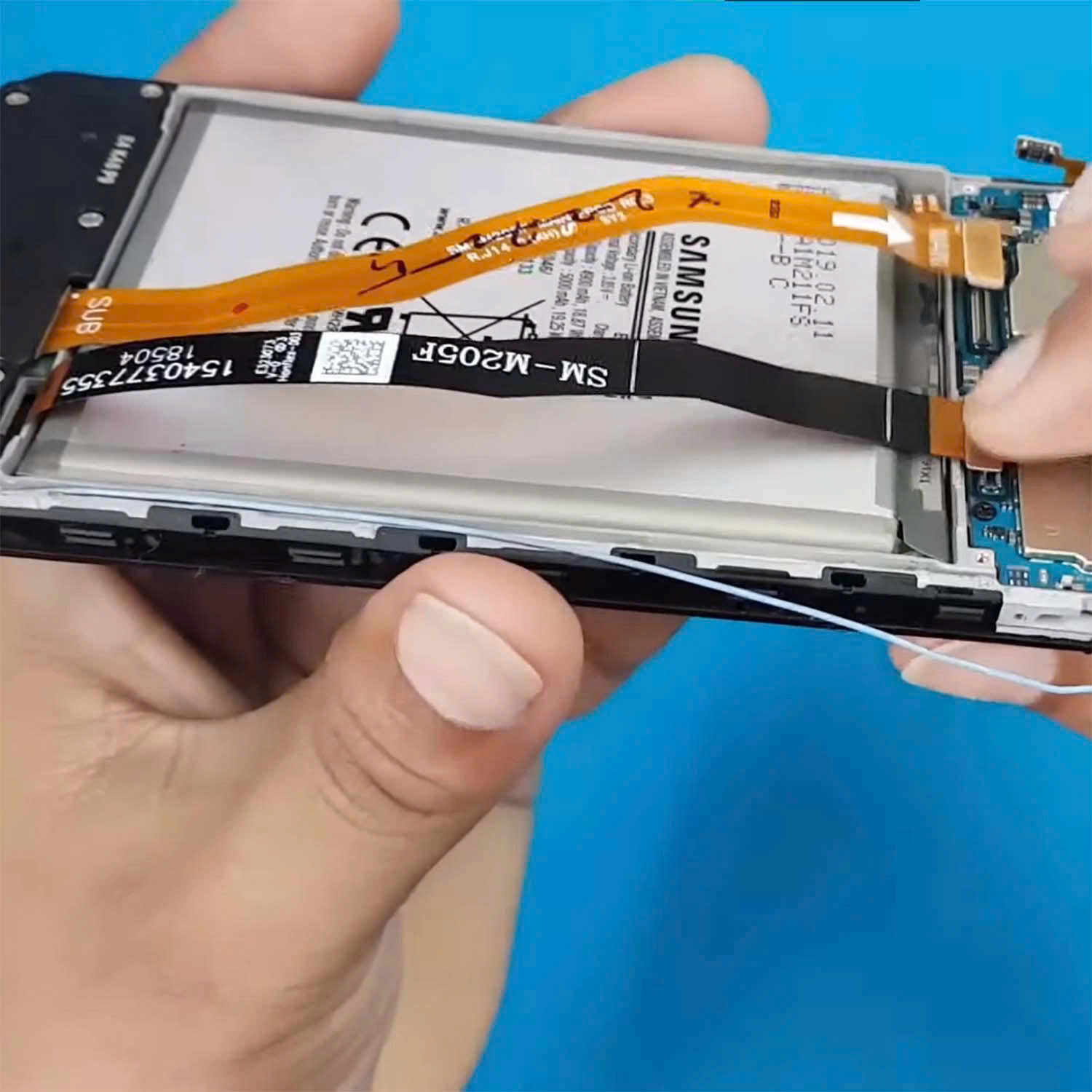 z7132297296033 7156904a5f038a785b5f95447ee5bcf0