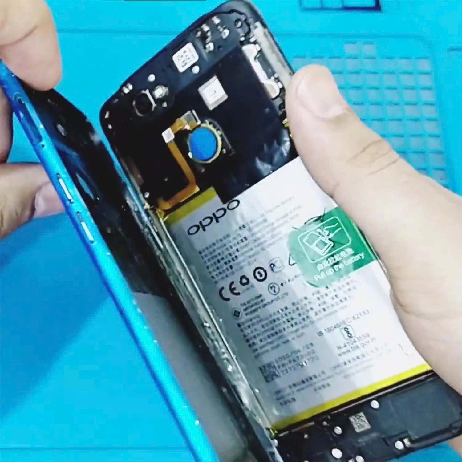 z7244036877142 f923897a2654d1a19bbafdc74d729513 1