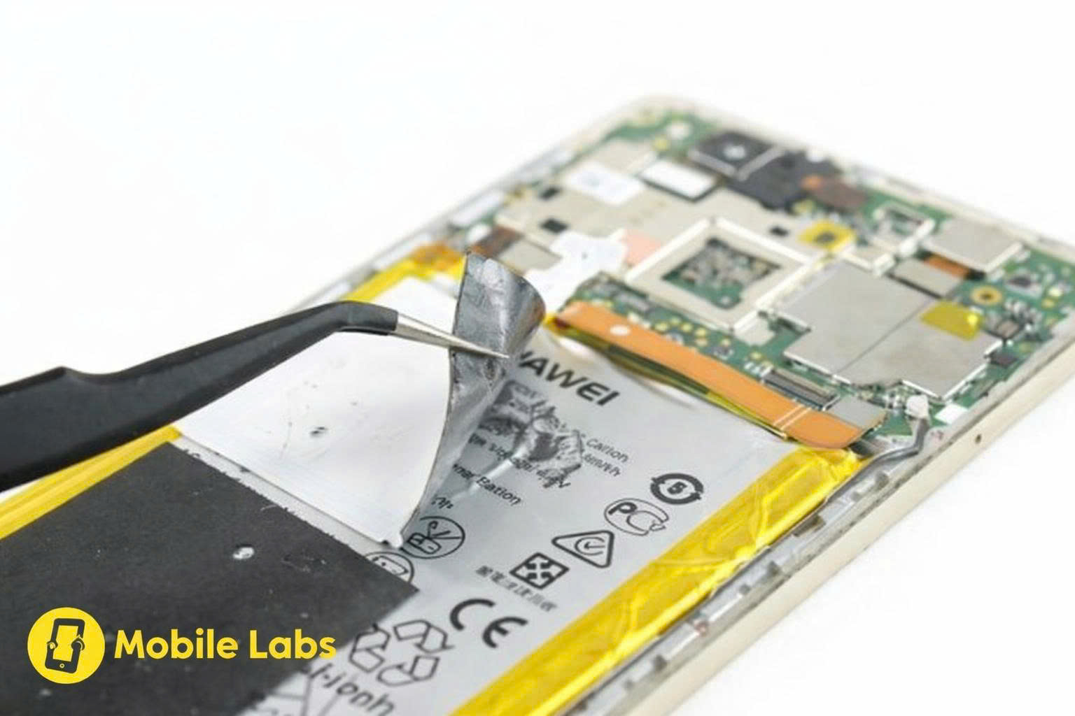 z7369992421530 54b7a6c699c51ea83c348dc303afae57