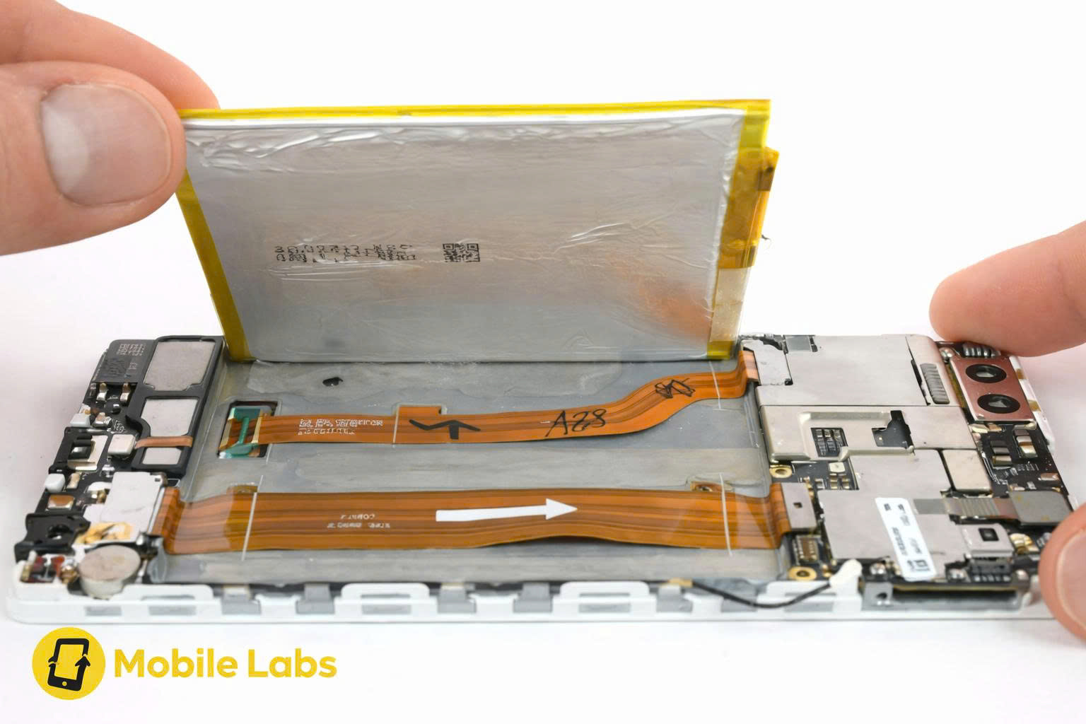 z7369992449036 442571cf44d15cf0a497839e1f9c8cb6