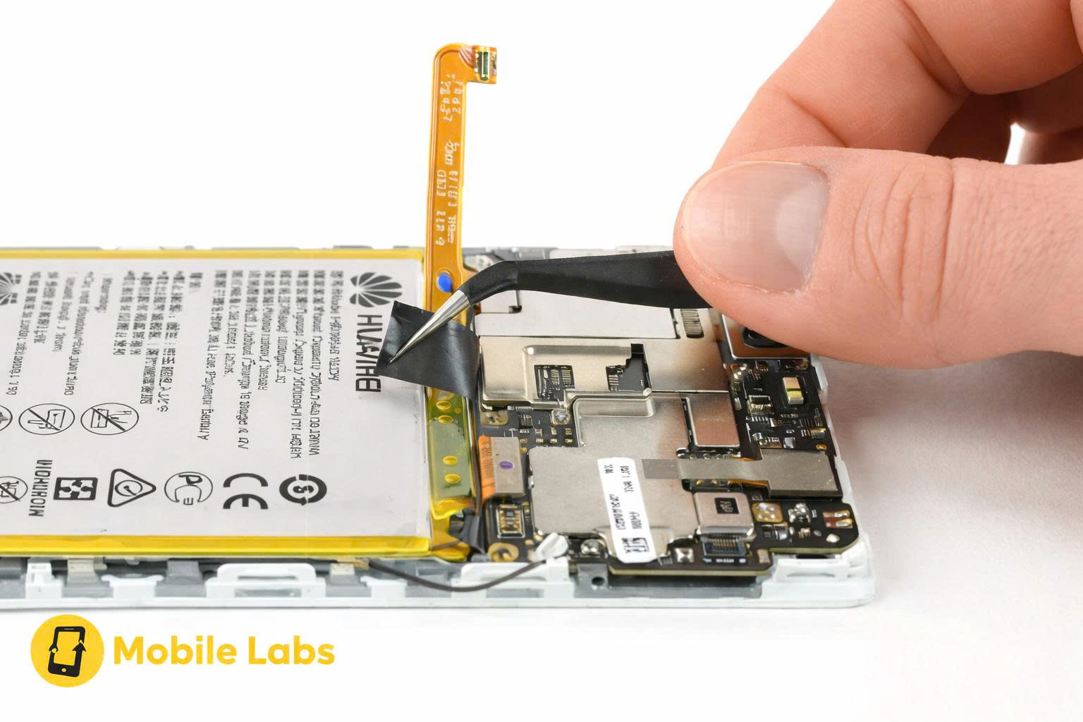 z7369992476602 29a5d6815ded8a367dedccfc871df99e