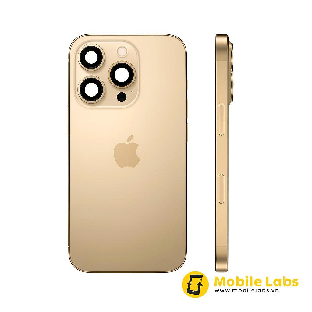 z7017196463803 330988211a16fb8ca9e67f1ef25af7f8