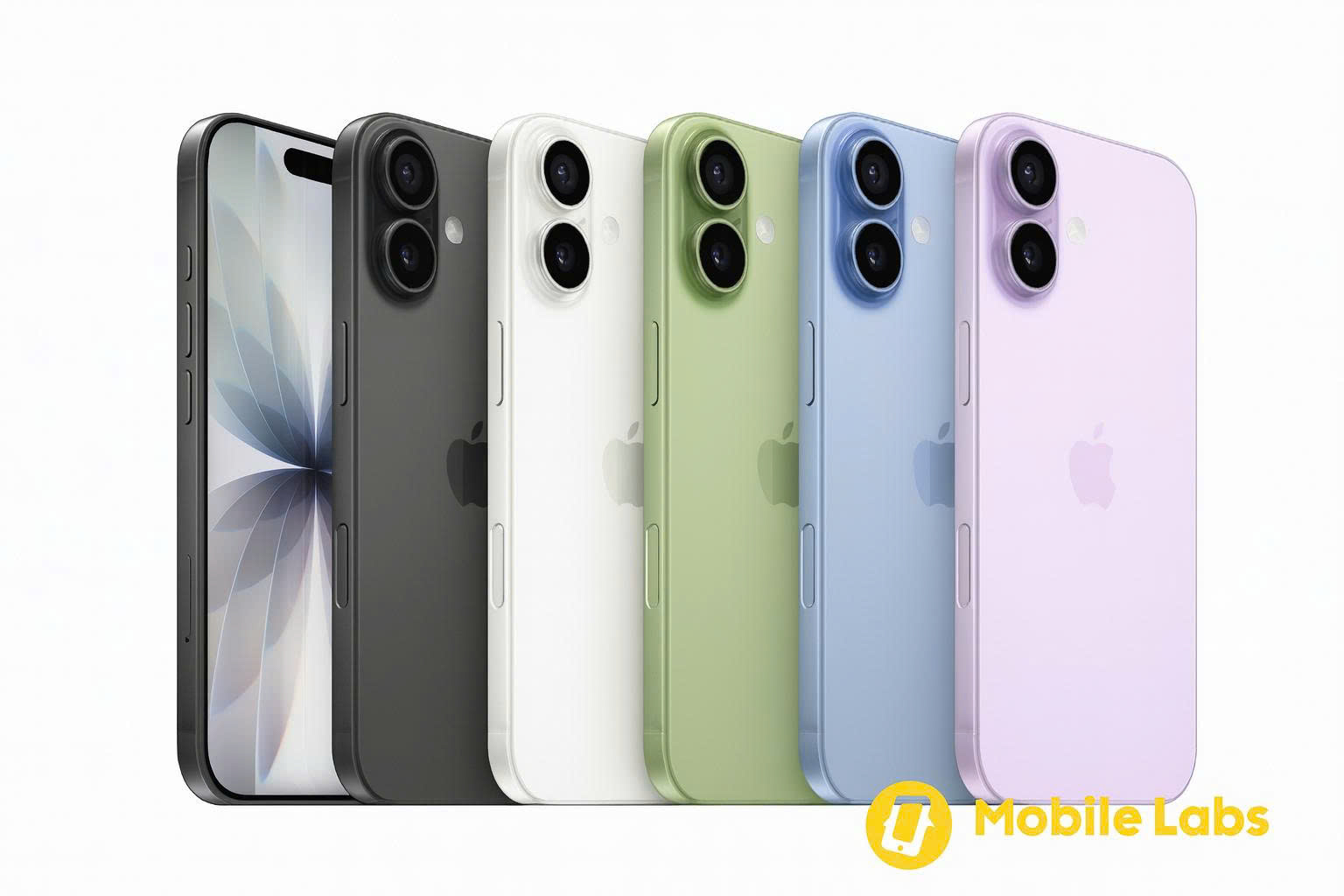 z7024384437035 f2620880d9dff514c6b4f8434fcf1b09