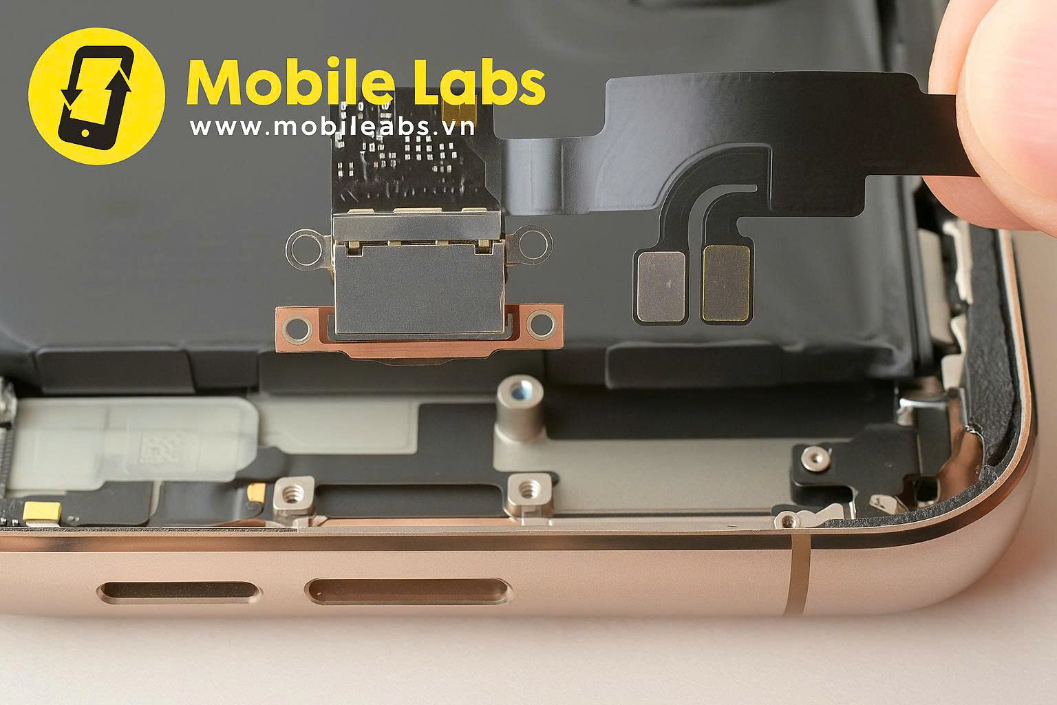 z7024535564081 3094eb37baeac148bae3ea1a90d5844f