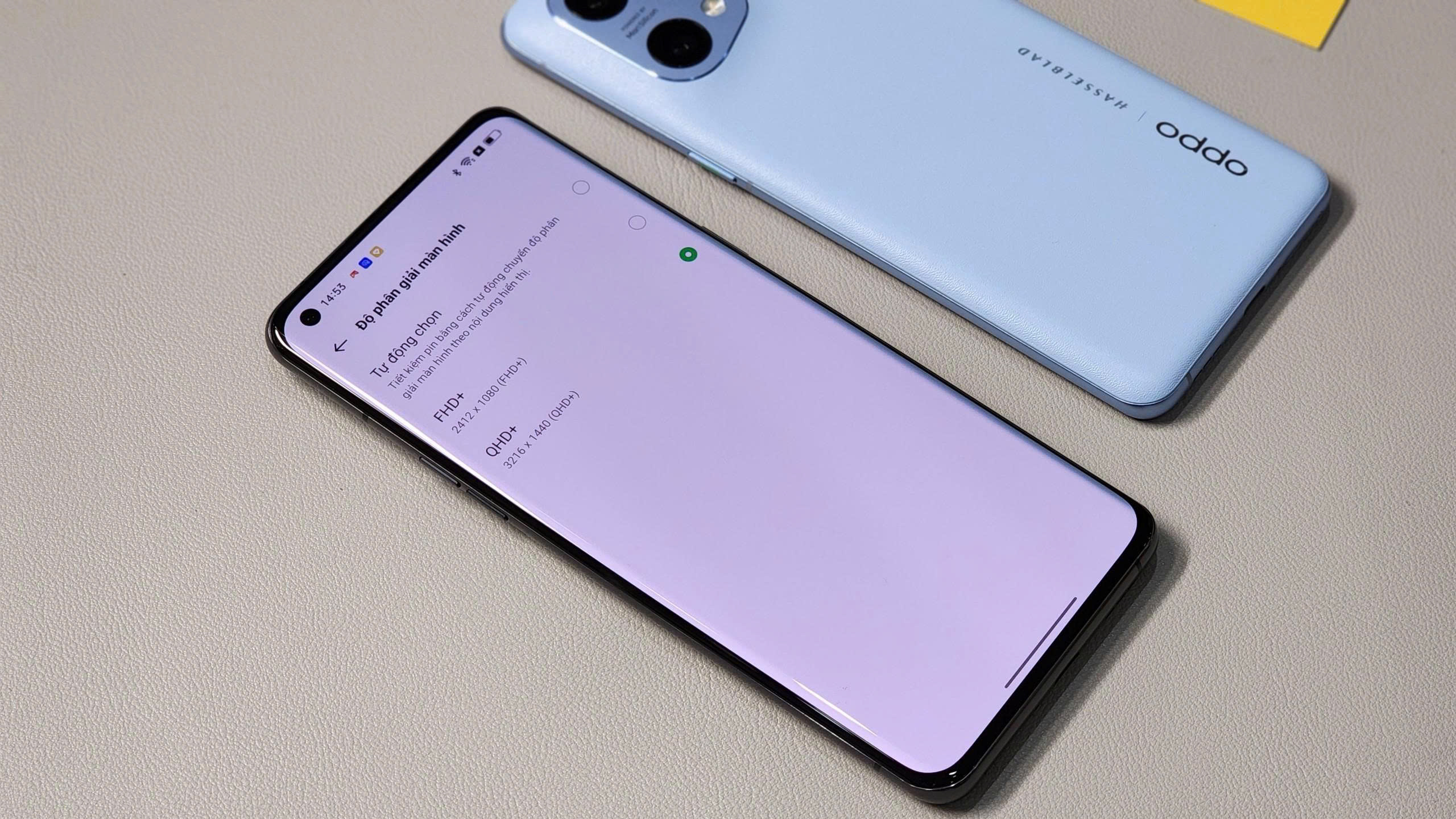 z7171493088302 61371ec98b5be3041eb34346687689df