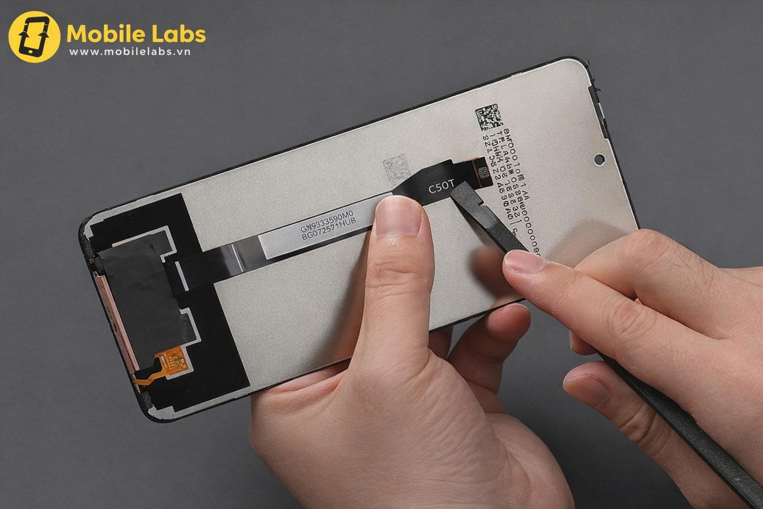 z7355623813877 3a4eb8393524d03f12b345a8f8b87f99