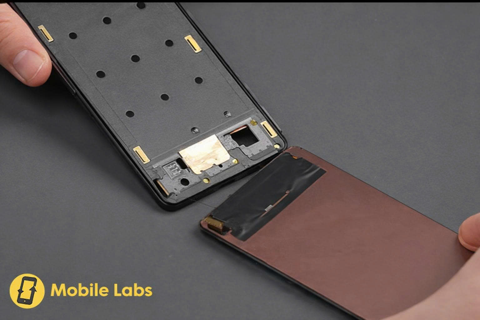 z7366687548525 2b50d532b5cb824f7495cbbf28ea41cd