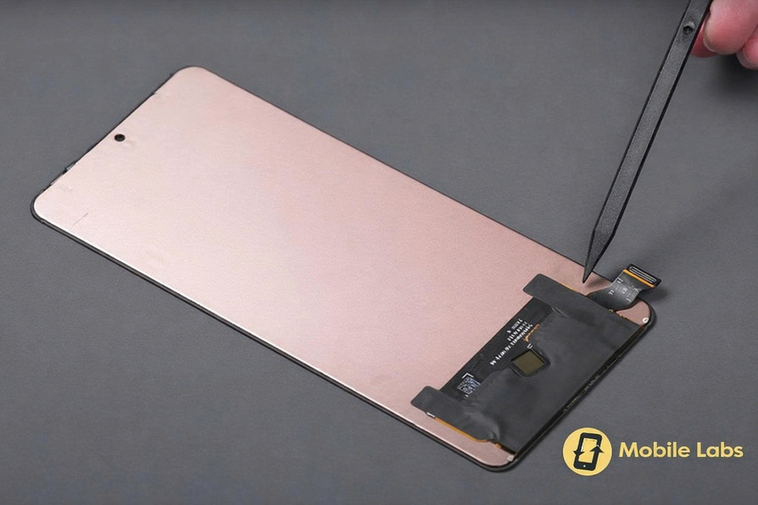 z7366687548530 7721c6ac25dd79dcc30143280447386b