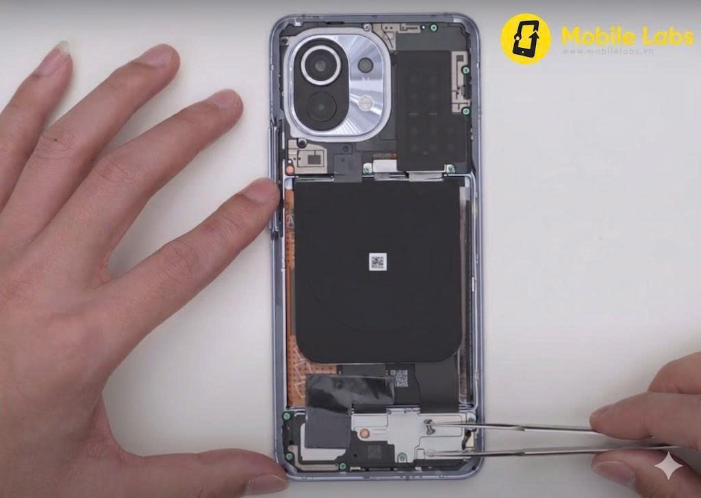 z7679115116152 797d7150cb4d402c61c186d28d138921